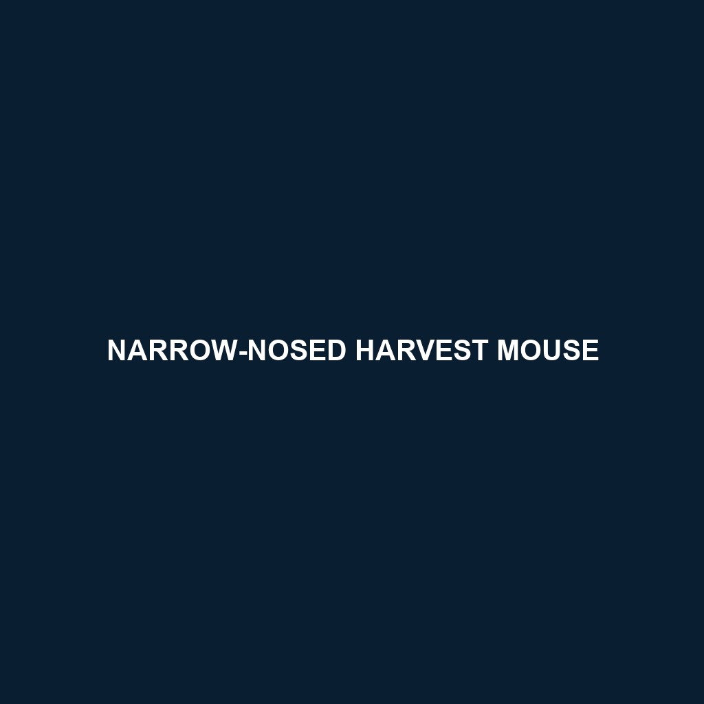 Narrow-nosed Harvest Mouse