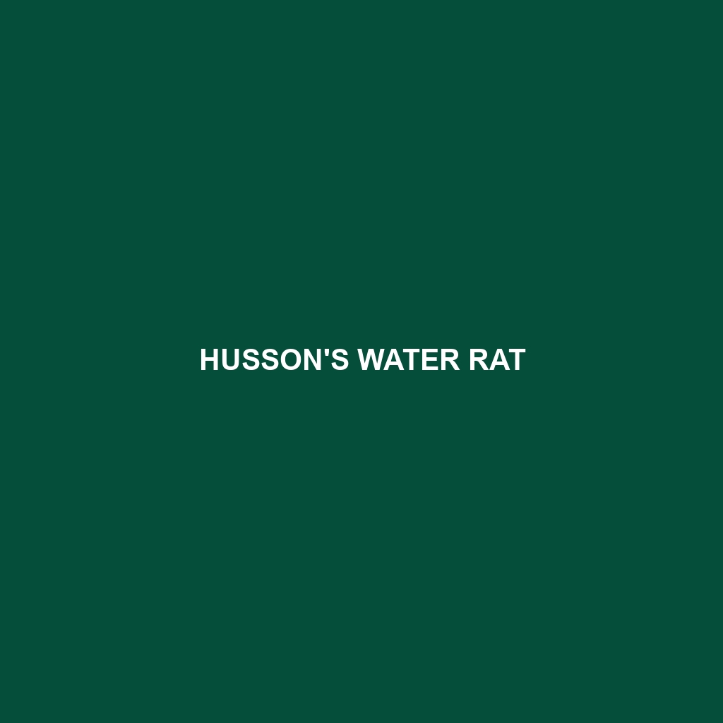 Husson's Water Rat