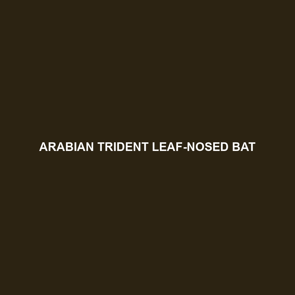 Arabian Trident Leaf-nosed Bat