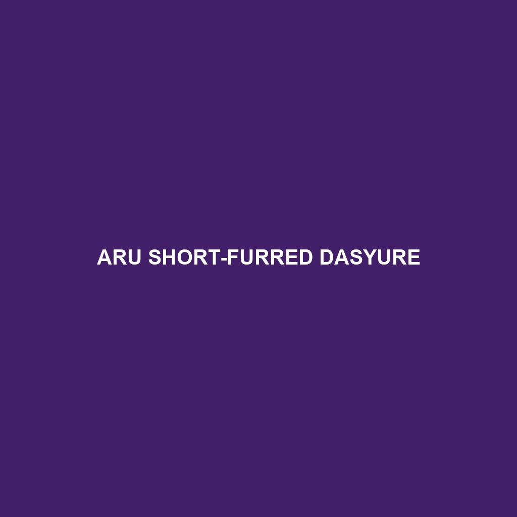 Aru Short-furred Dasyure