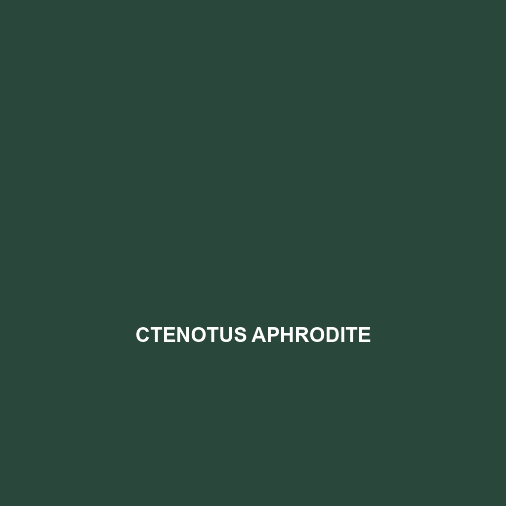 Ctenotus aphrodite