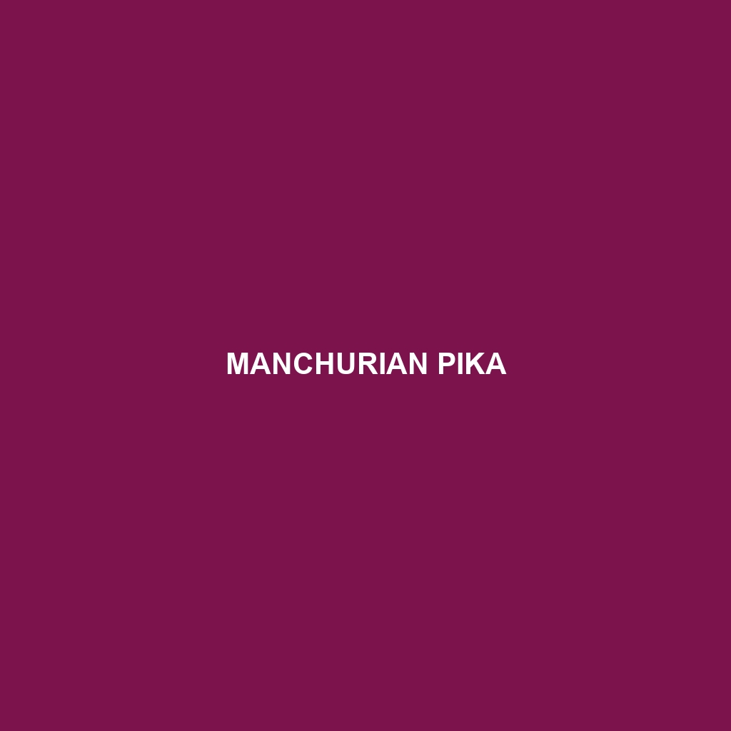 Manchurian Pika