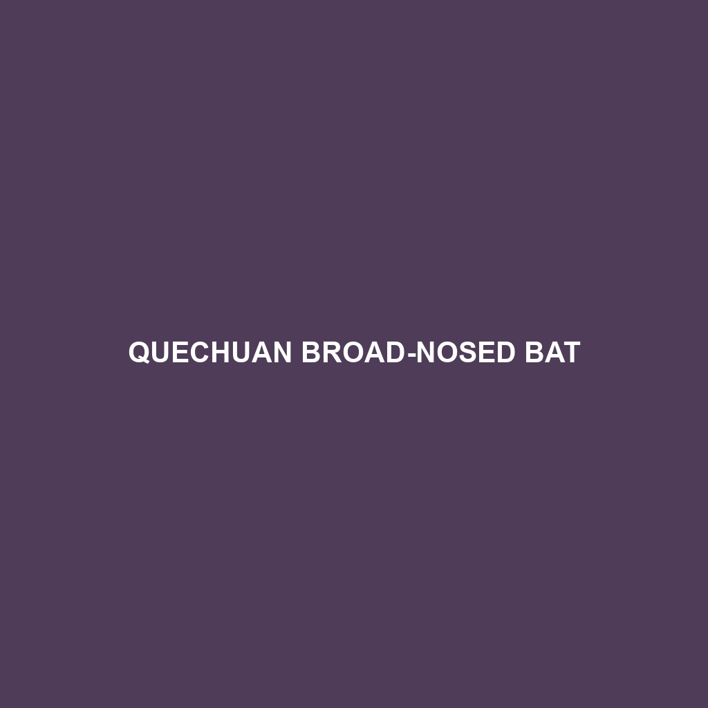 Quechuan Broad-nosed Bat