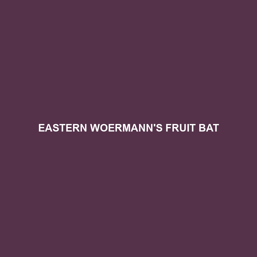 Eastern Woermann's Fruit Bat