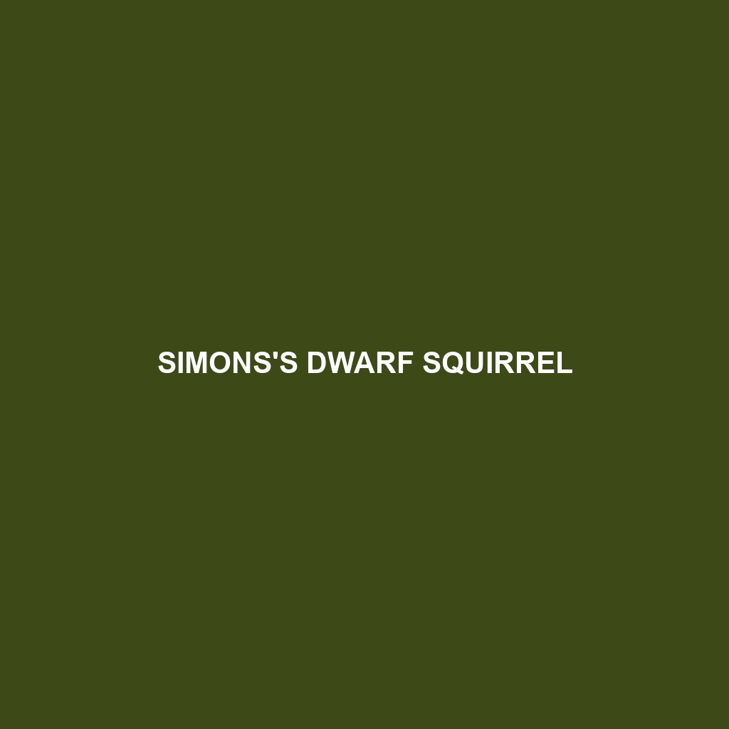 Simons's Dwarf Squirrel