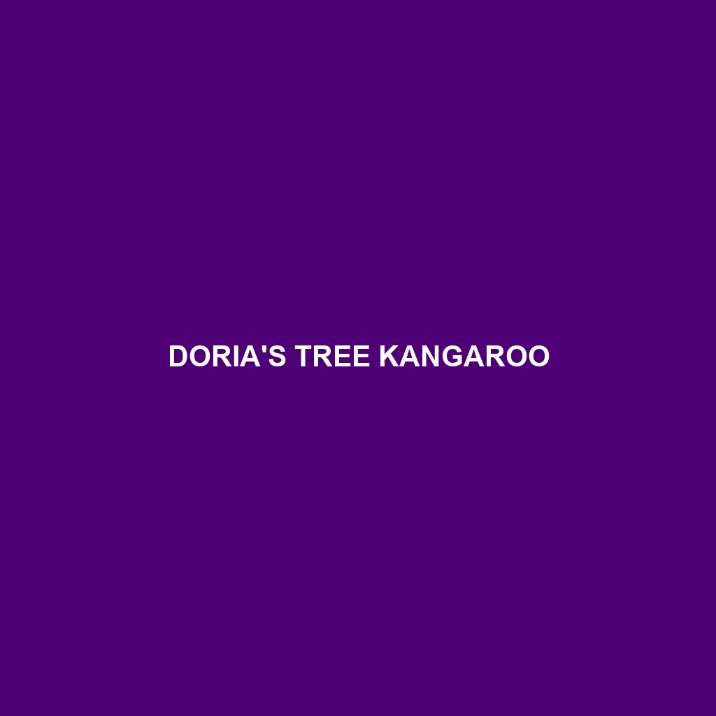 Doria's Tree Kangaroo