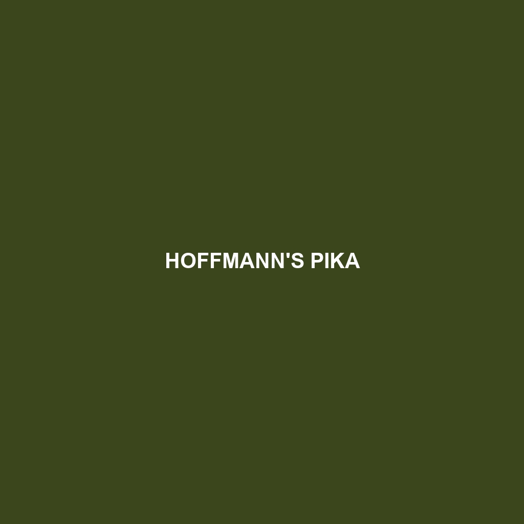 Hoffmann's Pika