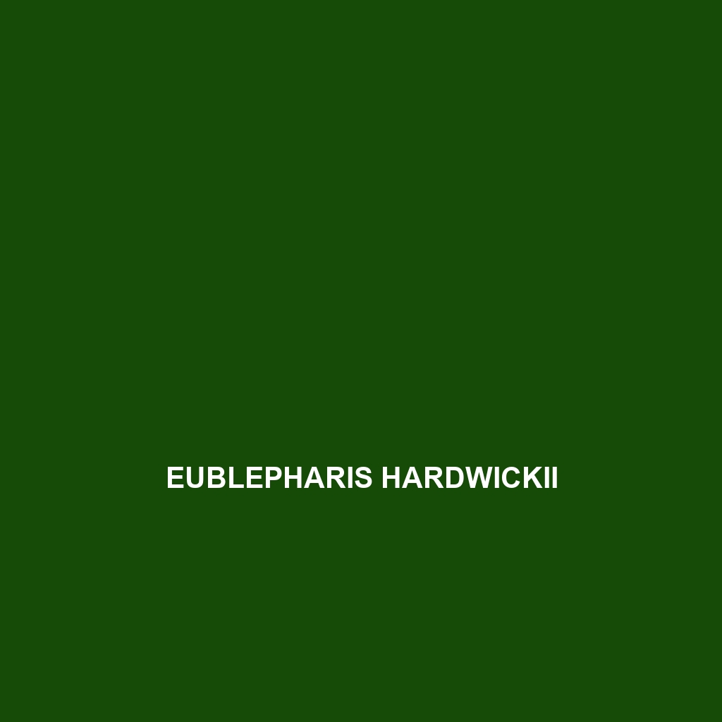 Eublepharis hardwickii