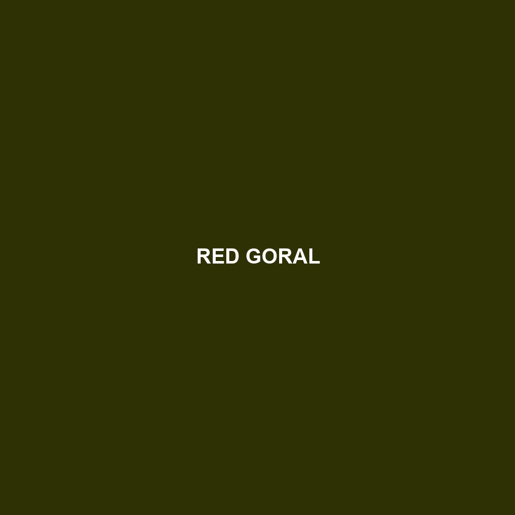 Red Goral