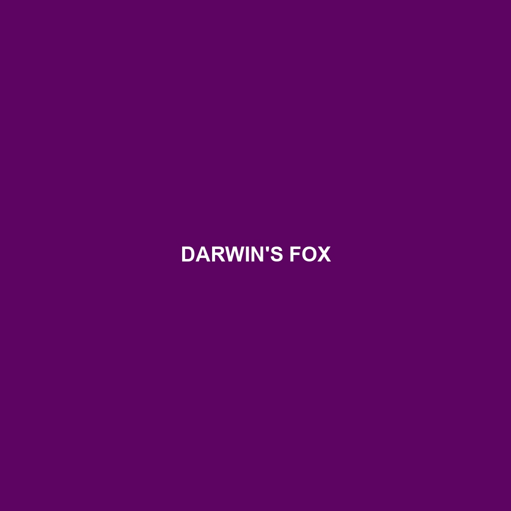 Darwin's Fox