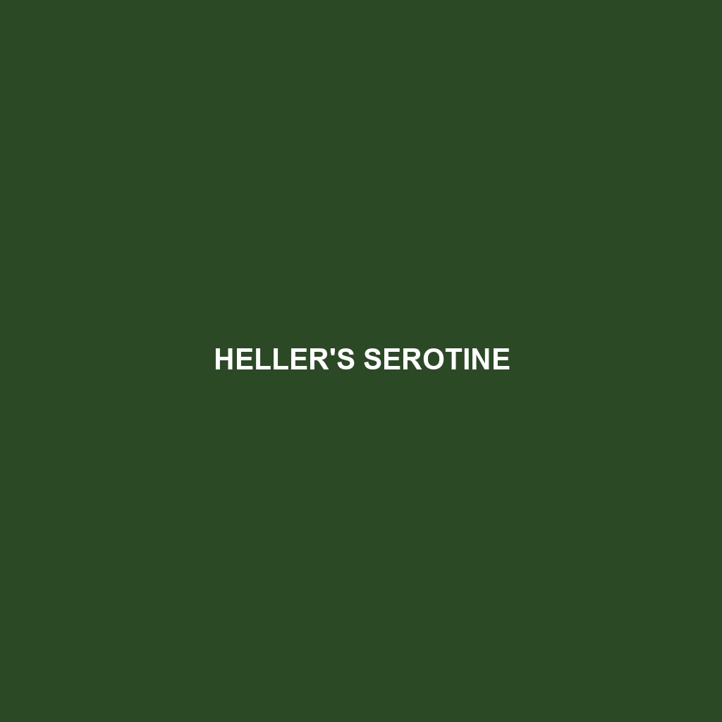 Heller's Serotine