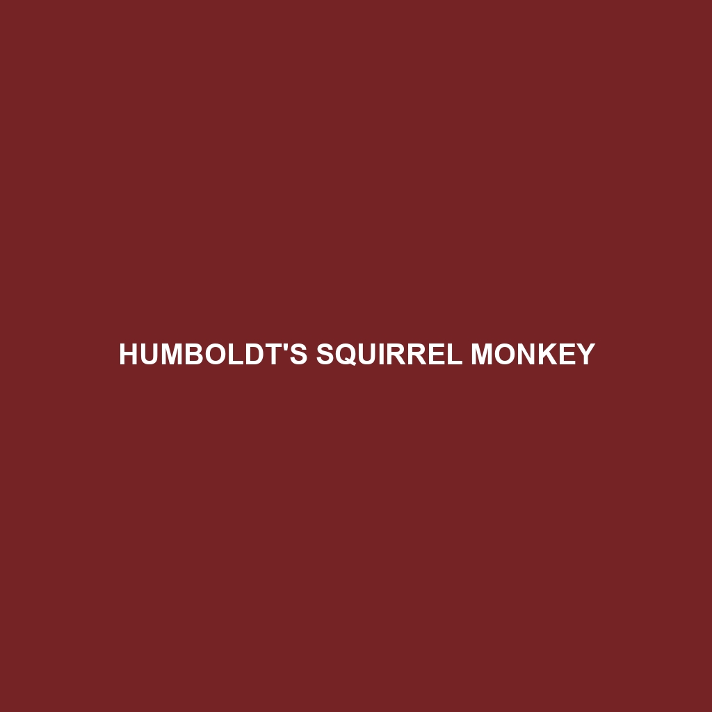 Humboldt's Squirrel Monkey