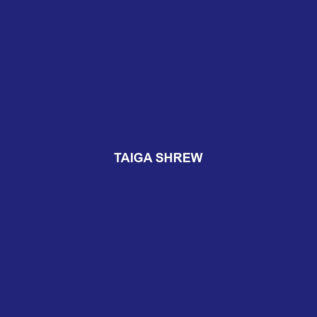 Taiga Shrew