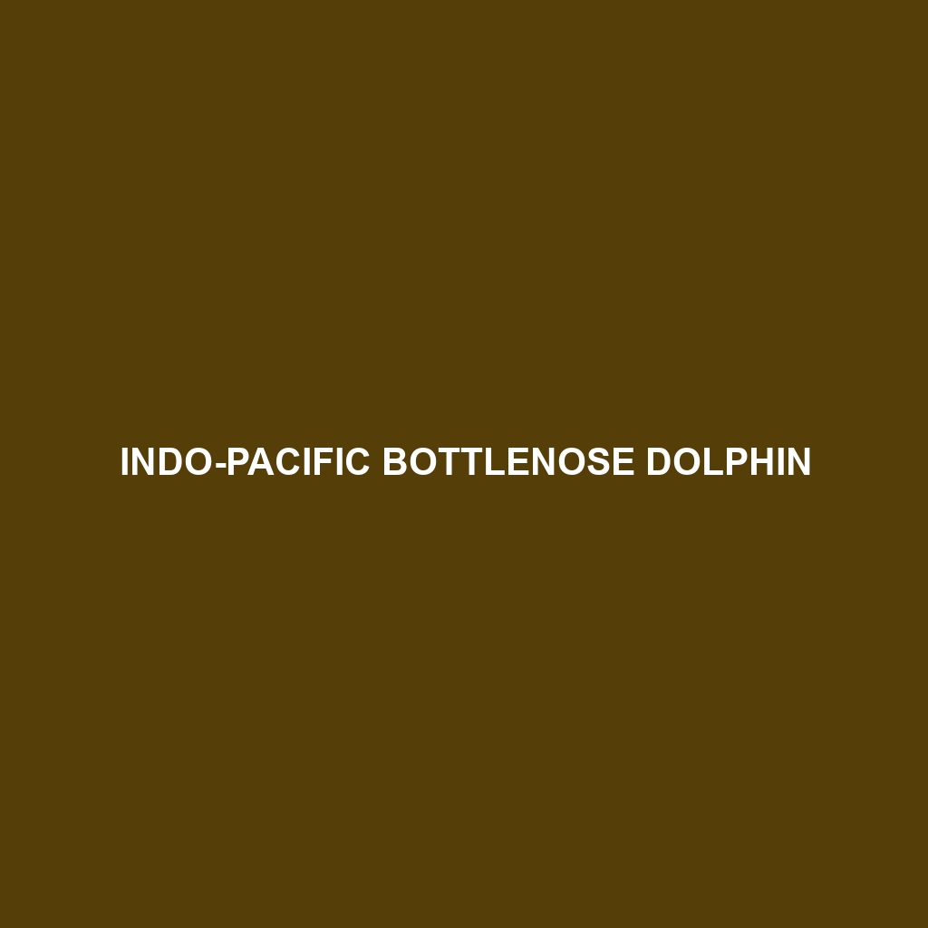 Indo-Pacific Bottlenose Dolphin