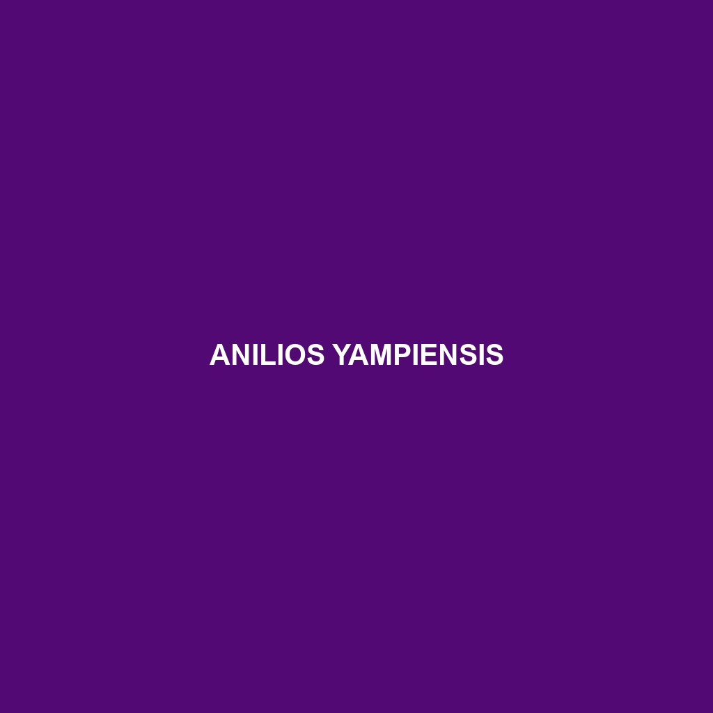 Anilios yampiensis