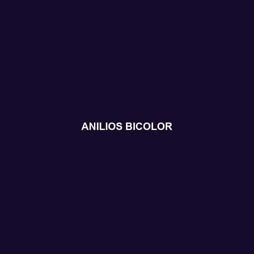 Anilios bicolor