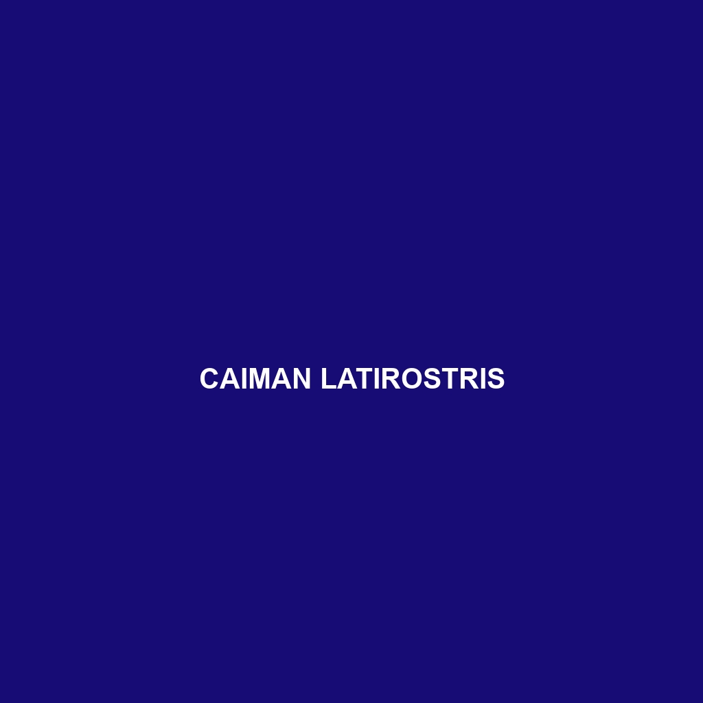 Caiman latirostris