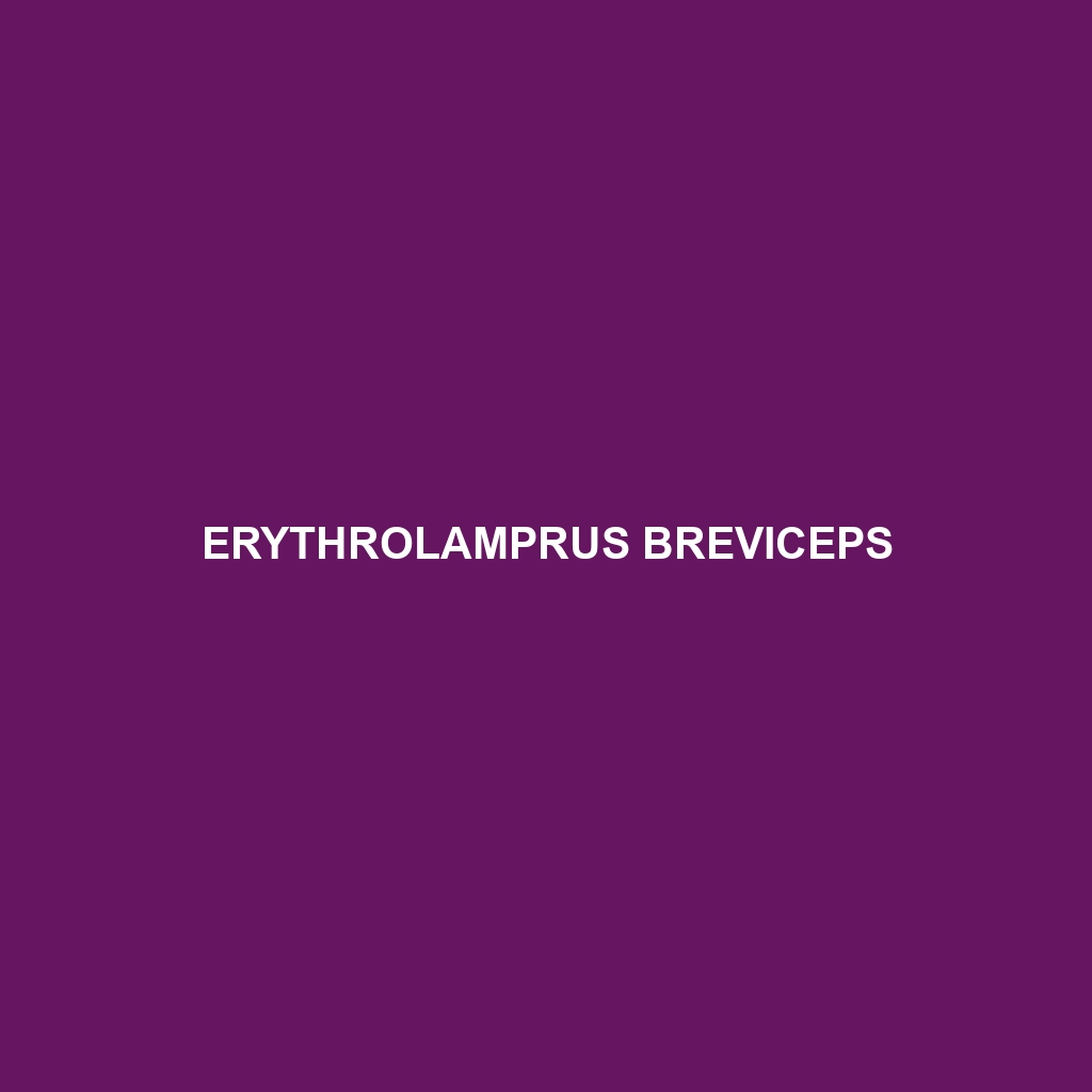 Erythrolamprus breviceps