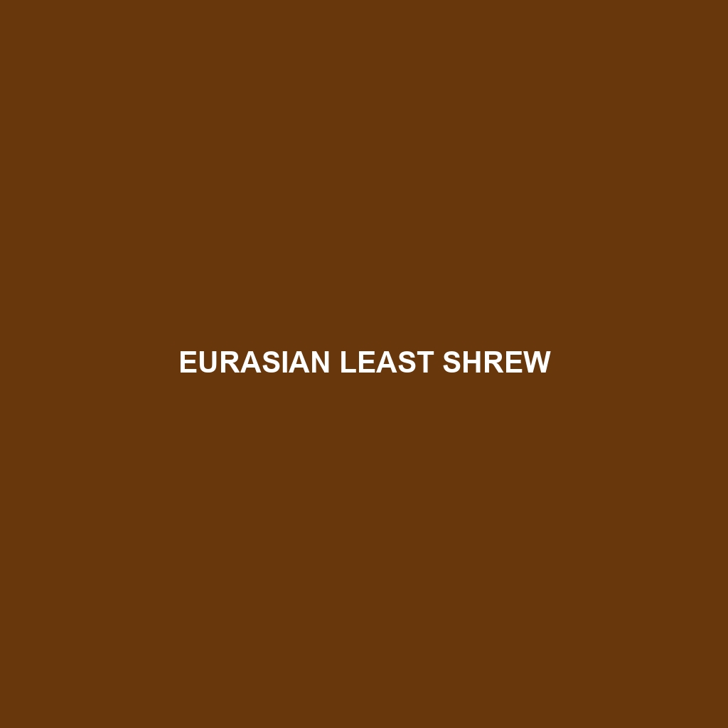 Eurasian Least Shrew