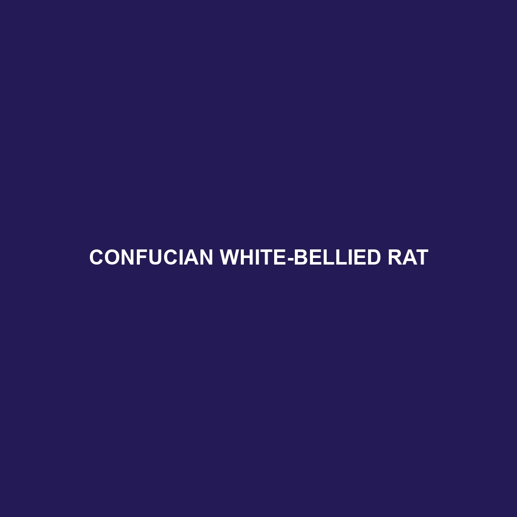 Confucian White-bellied Rat