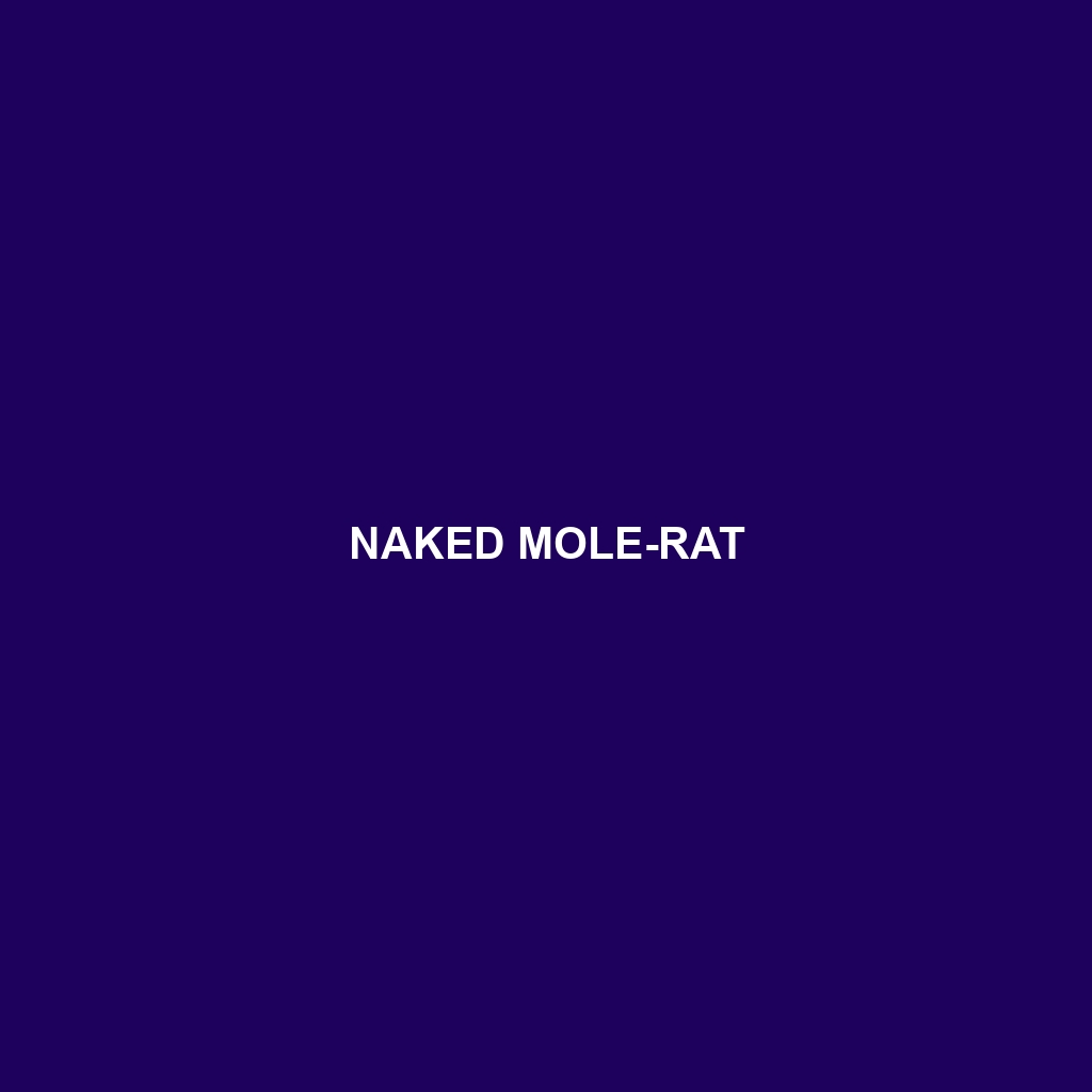 Naked Mole-rat