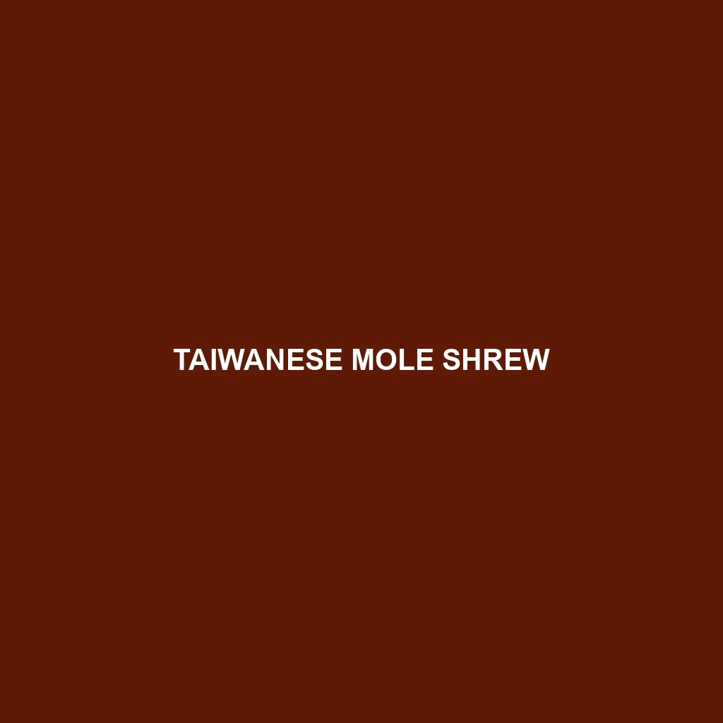 Taiwanese Mole Shrew