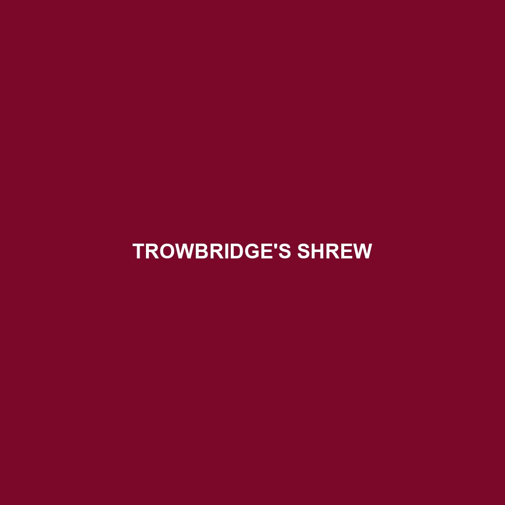 Trowbridge's Shrew