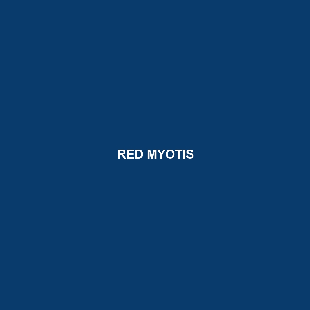 Red Myotis