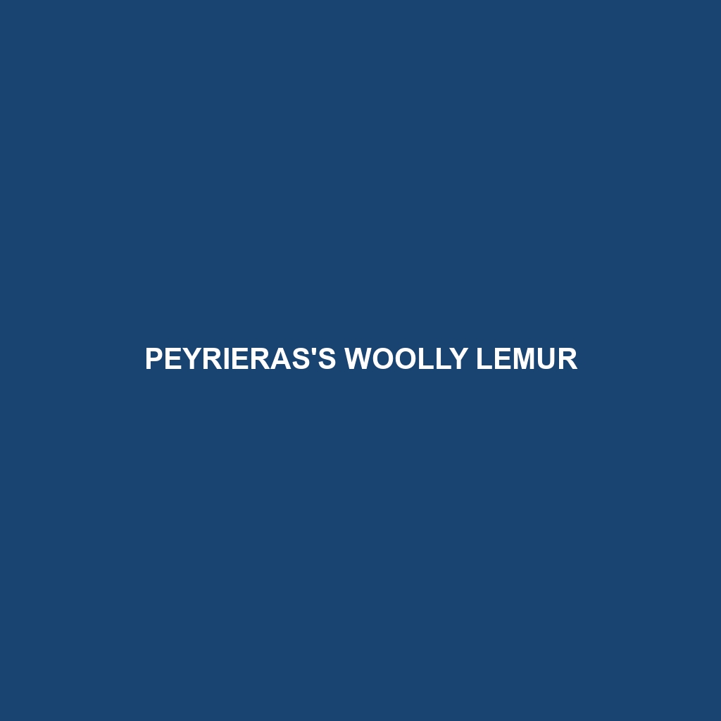 Peyrieras's Woolly Lemur