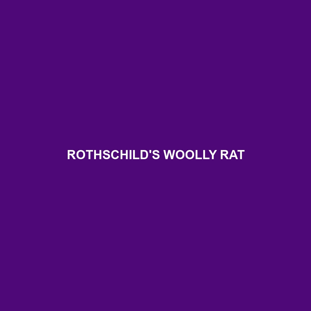 Rothschild's Woolly Rat