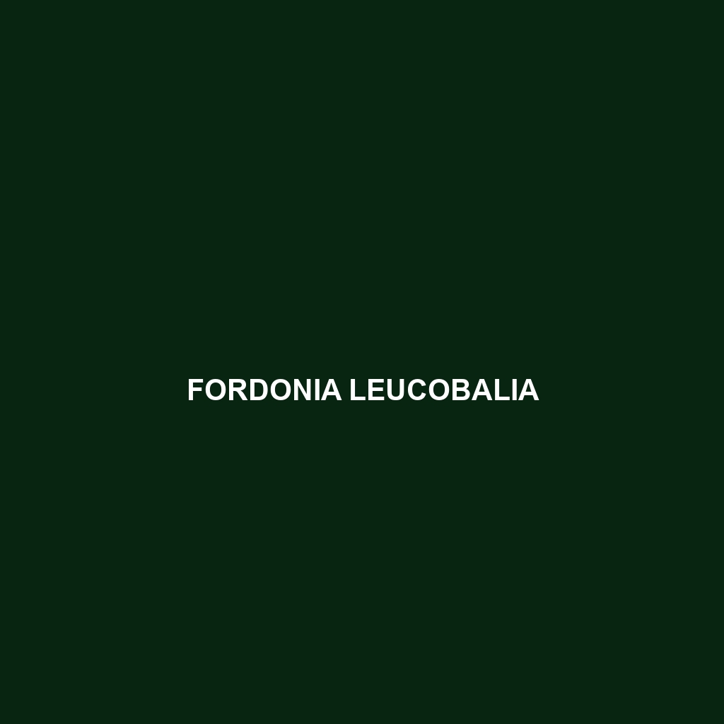 Fordonia leucobalia