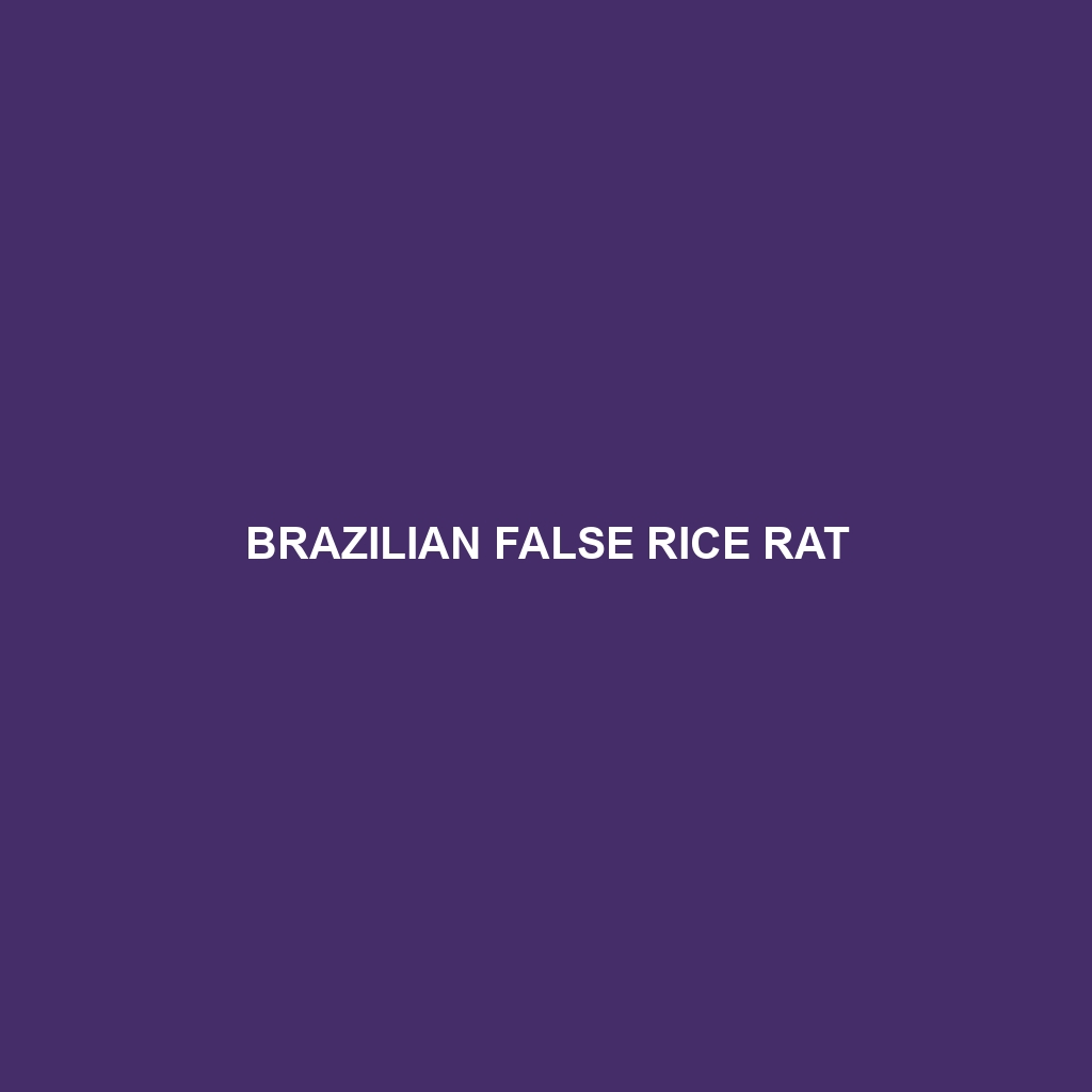 Brazilian False Rice Rat