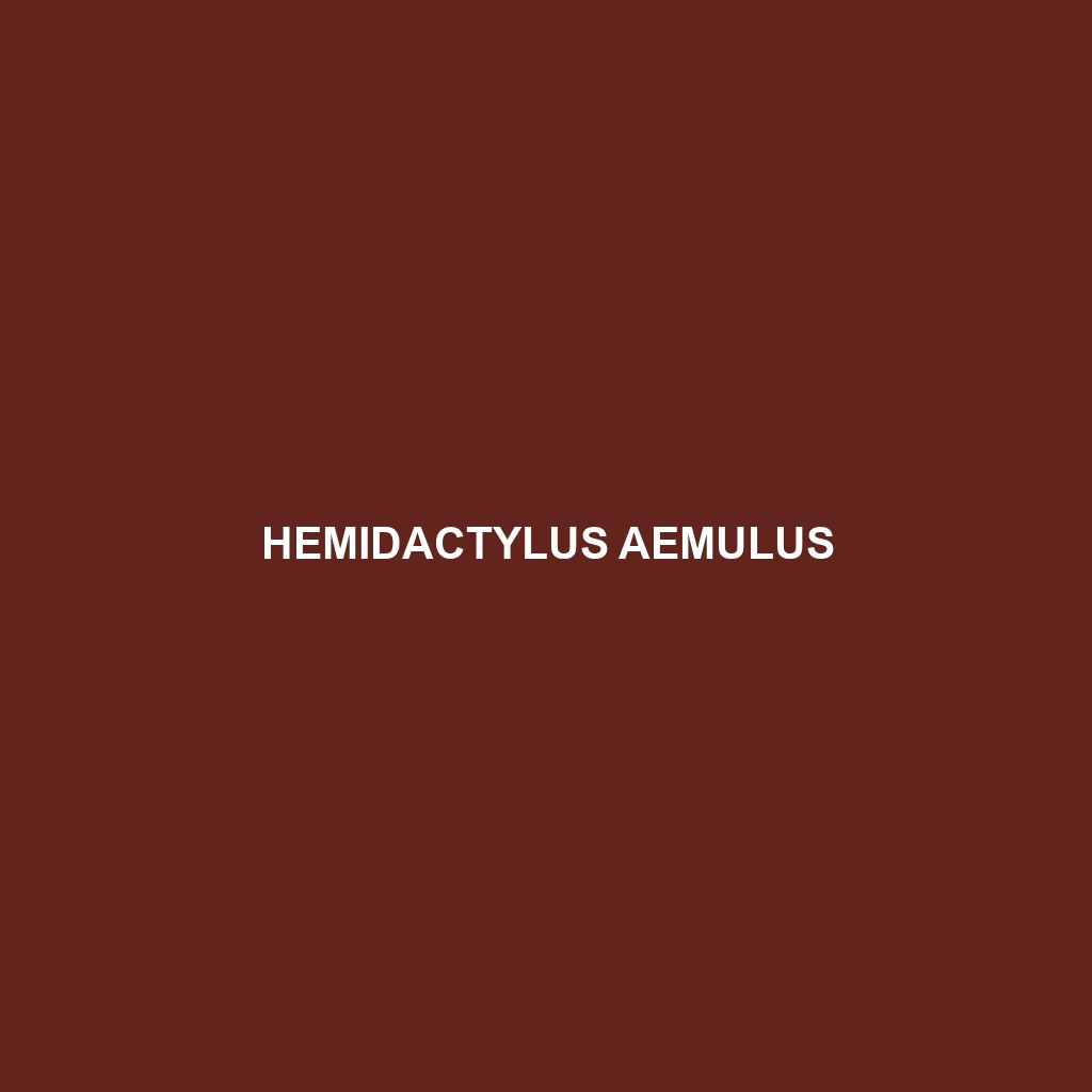 Hemidactylus aemulus