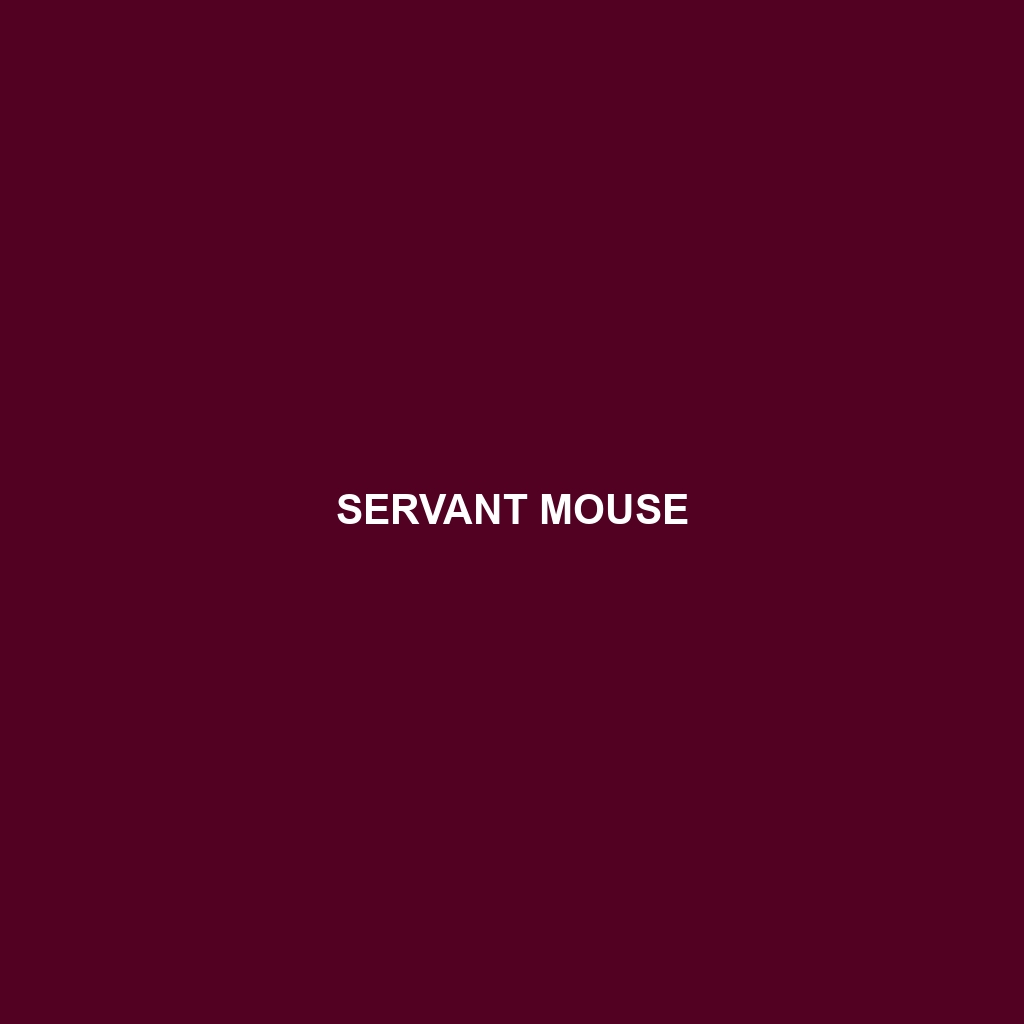 Servant Mouse