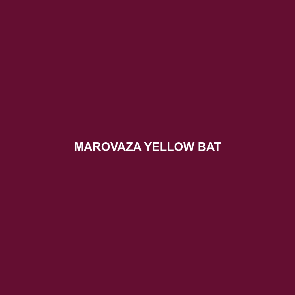 Marovaza Yellow Bat