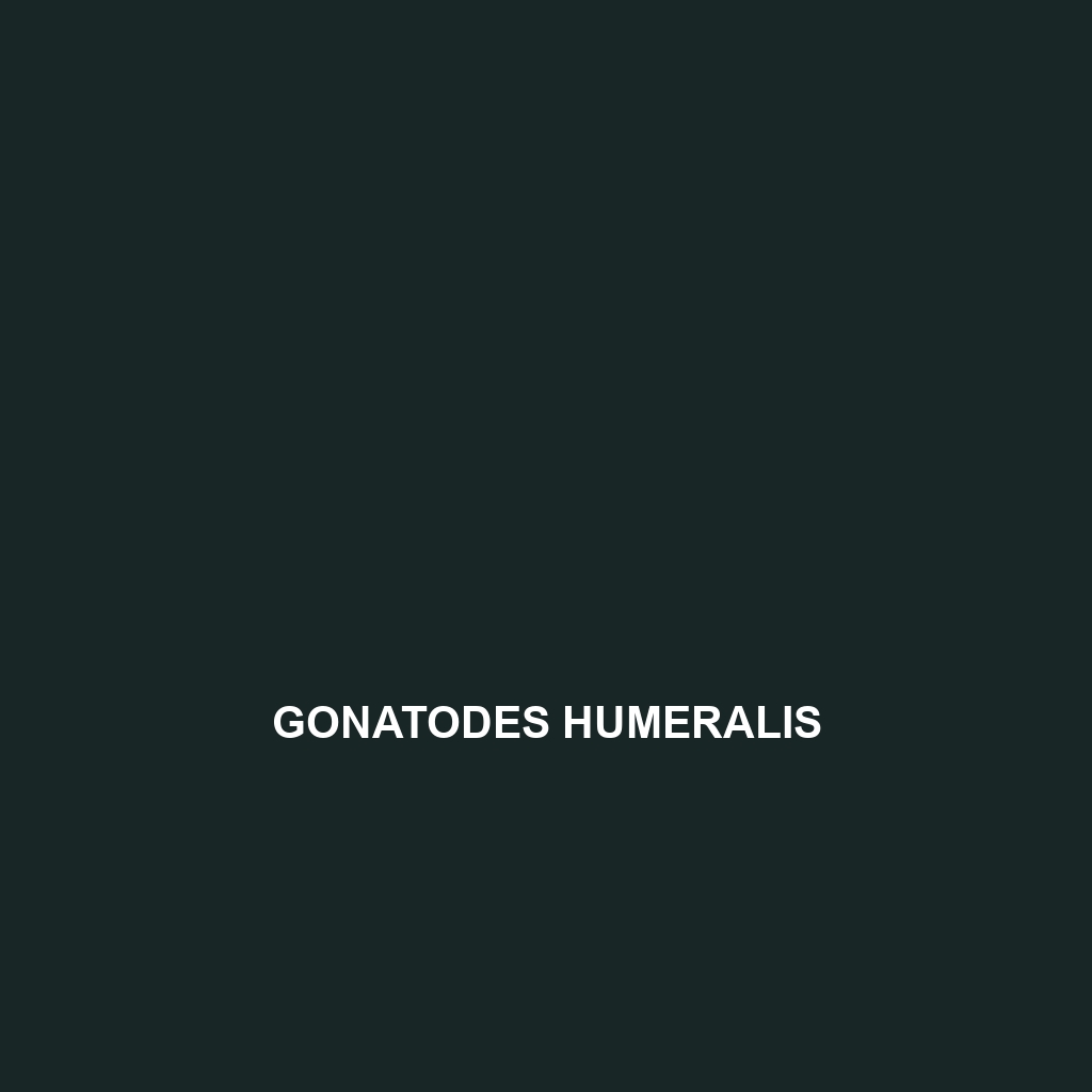 Gonatodes humeralis