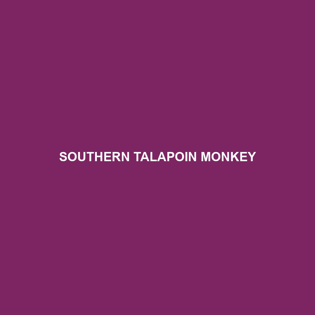 Southern Talapoin Monkey