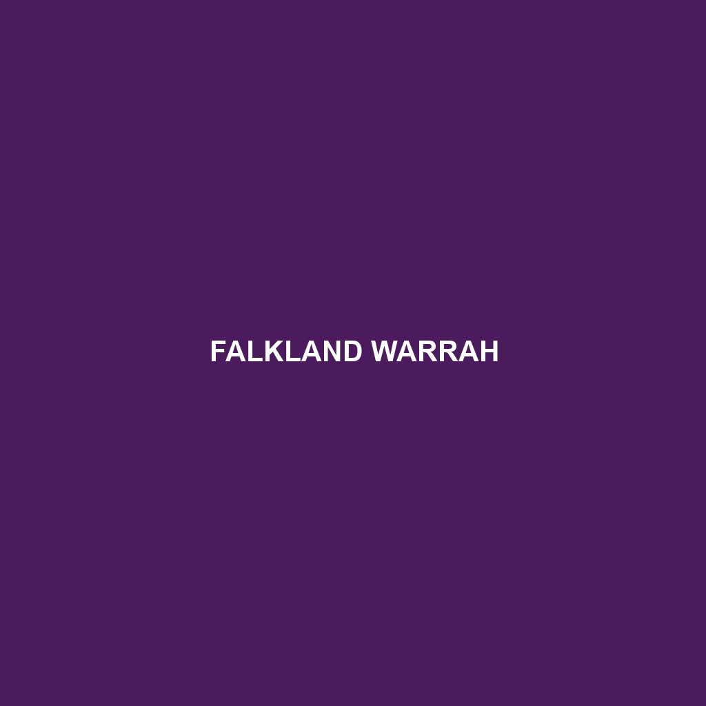 Falkland Warrah