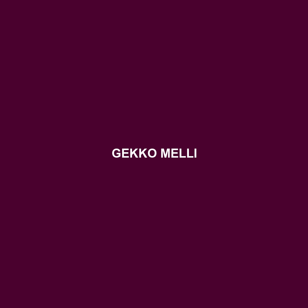 Gekko melli