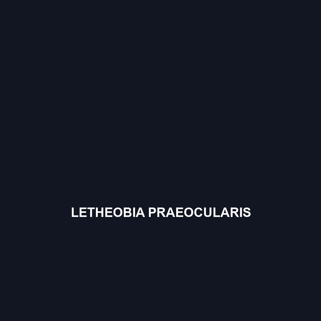 Letheobia praeocularis