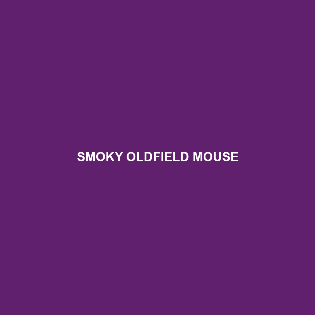 Smoky Oldfield Mouse