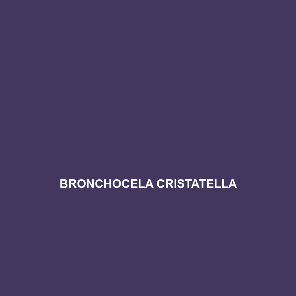 Bronchocela cristatella