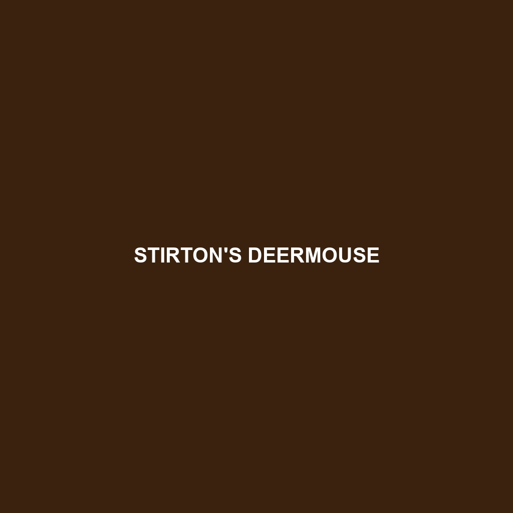 Stirton's Deermouse