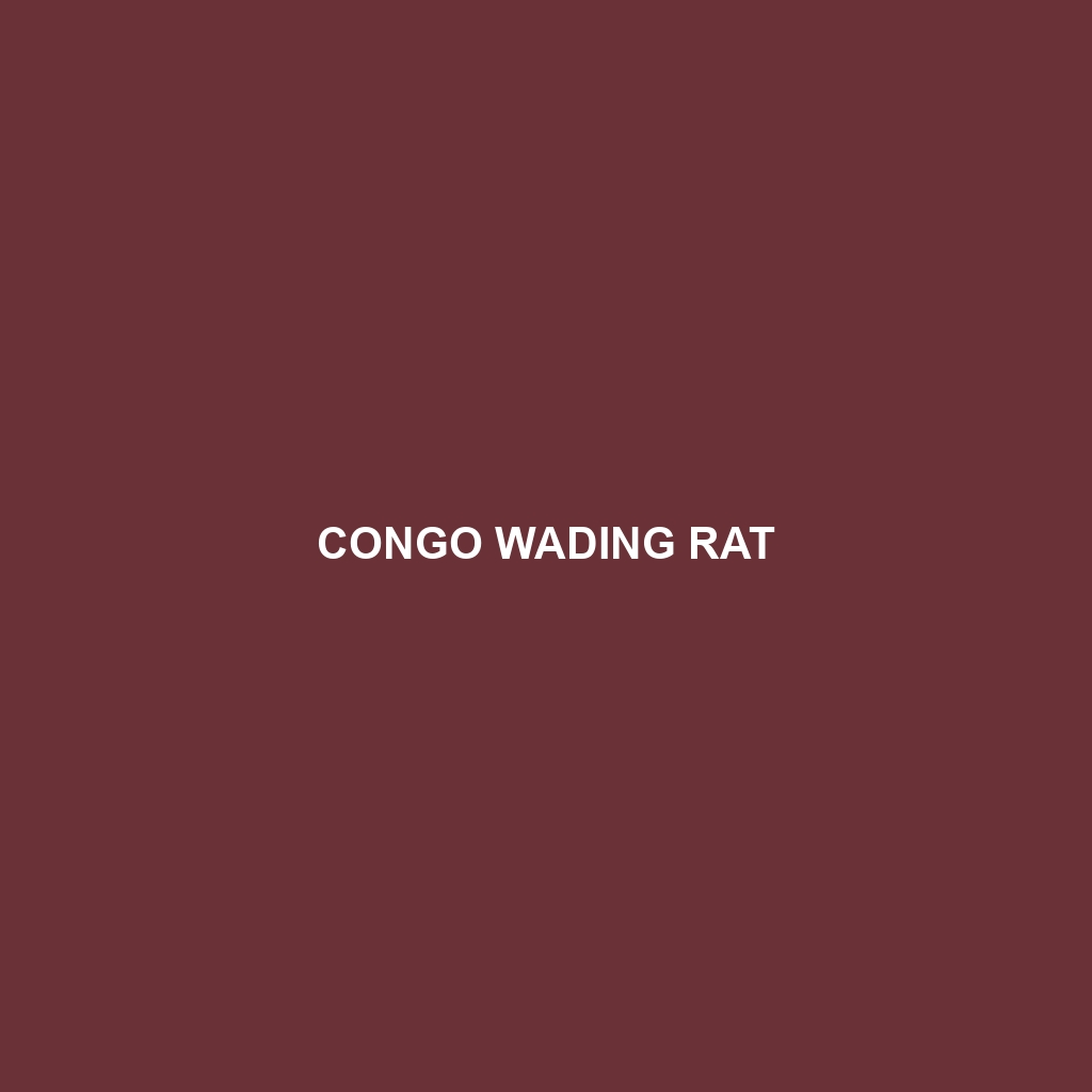 Congo Wading Rat