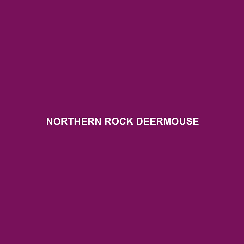 Northern Rock Deermouse