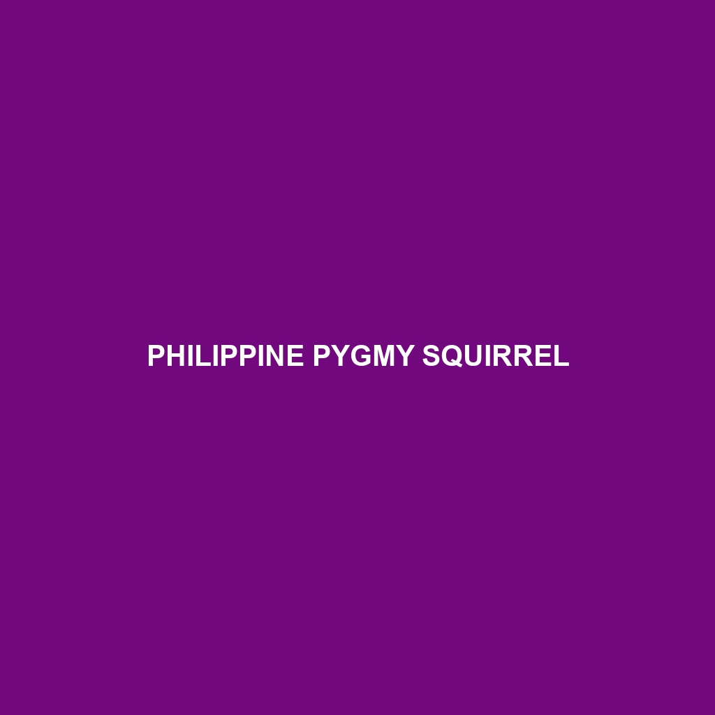 Philippine Pygmy Squirrel