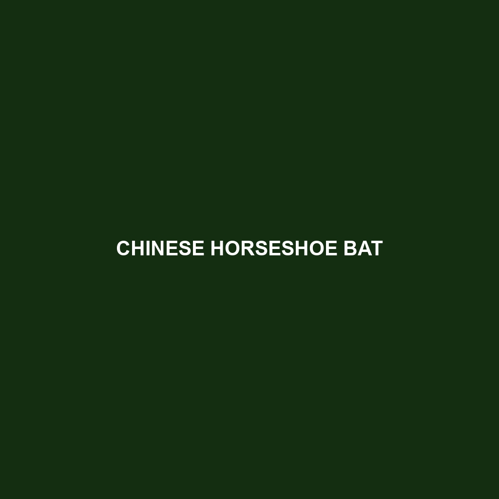 Chinese Horseshoe Bat