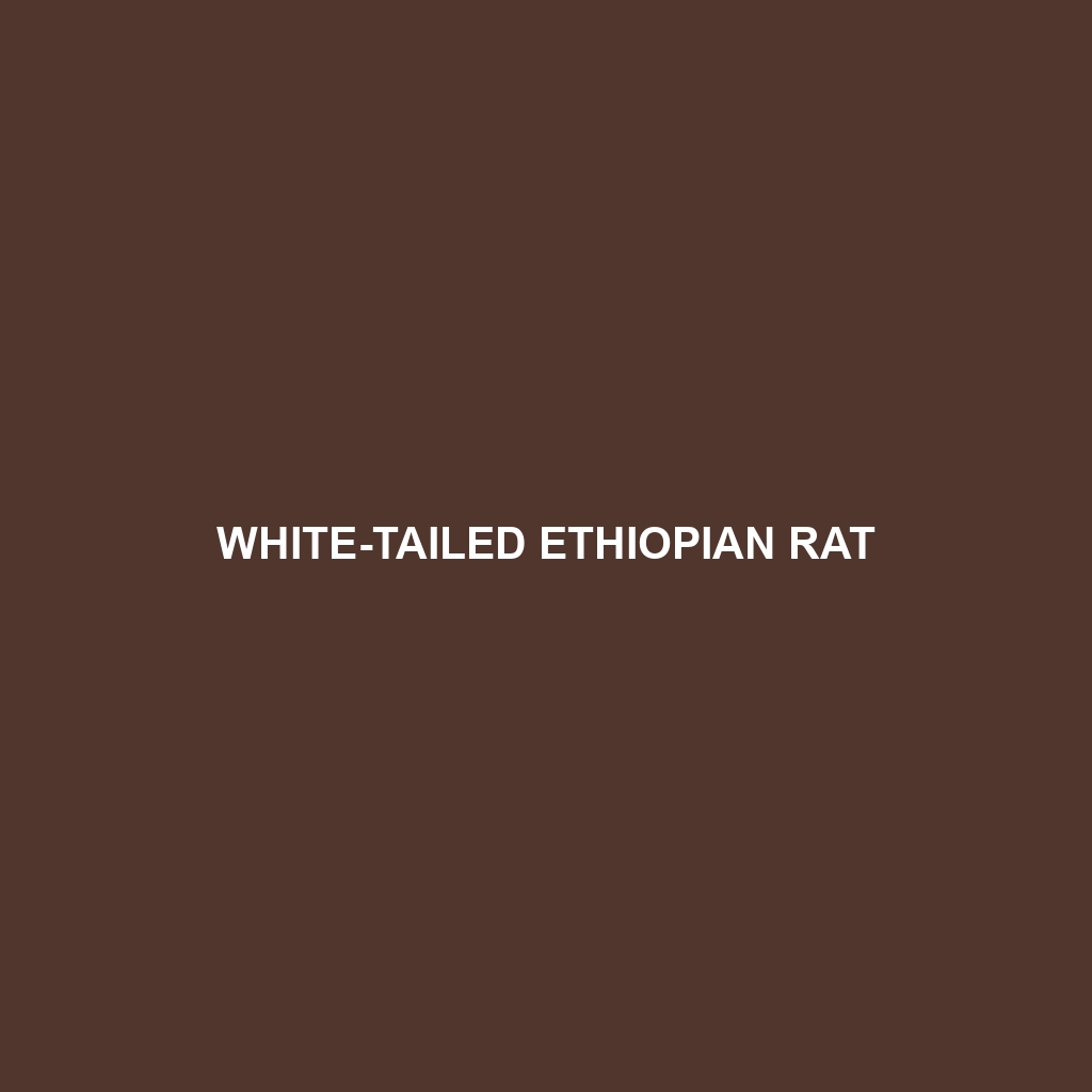 White-tailed Ethiopian Rat