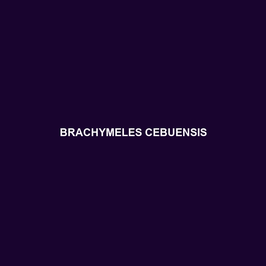 Brachymeles cebuensis