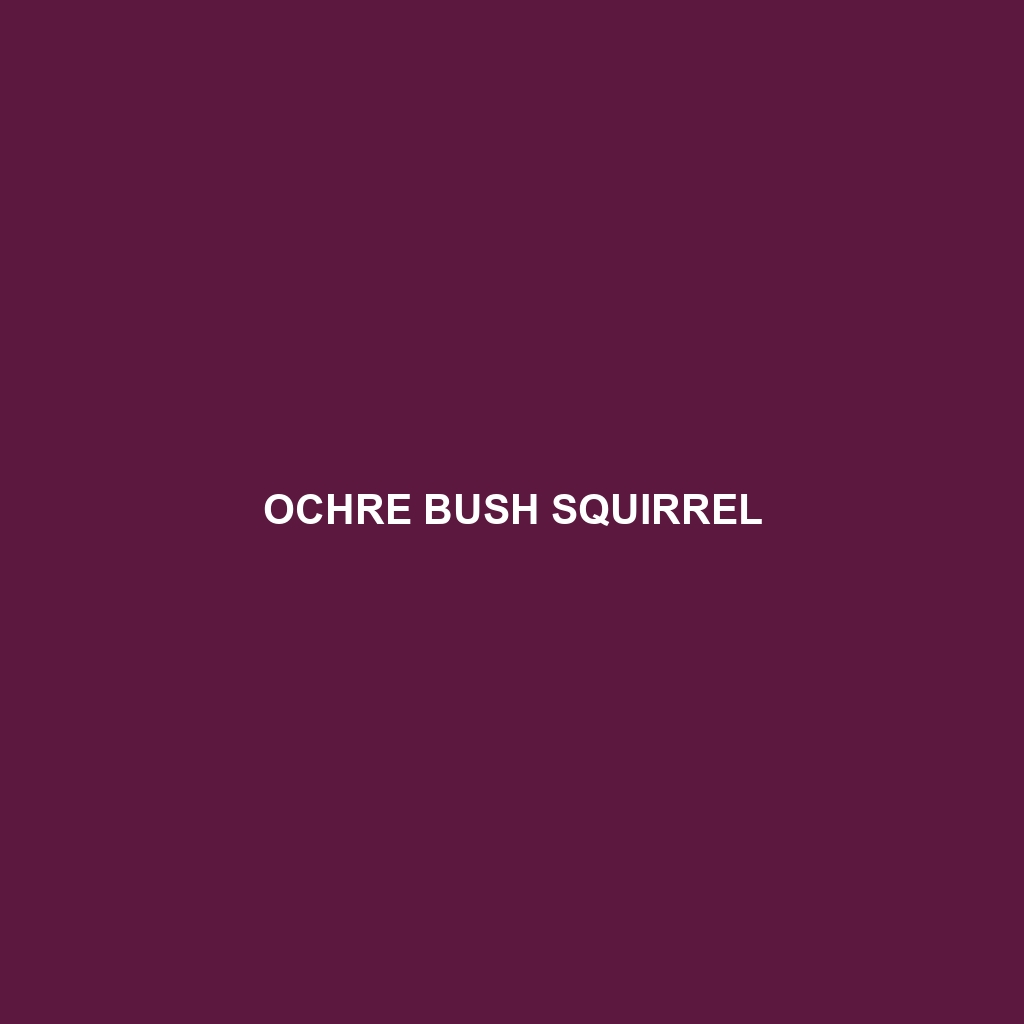 Ochre Bush Squirrel